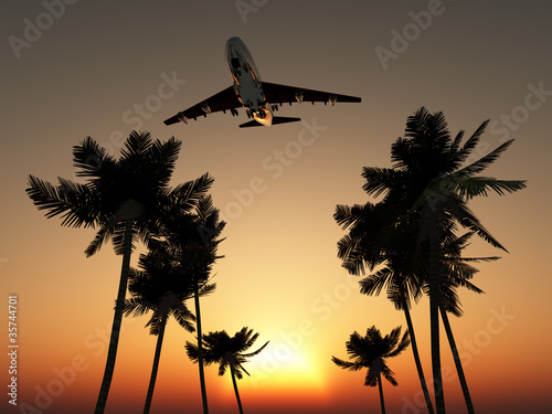 Board z aluminiowym obramowaniem Samolot nad palmami
