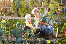 Woman Working On Allotment With Child