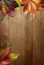 Autumn Leaves Over Wooden Background With Copy Space