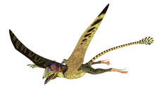 Peteinosaurus Flying