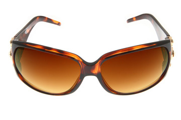 Isolated fashion Brown sunglasses