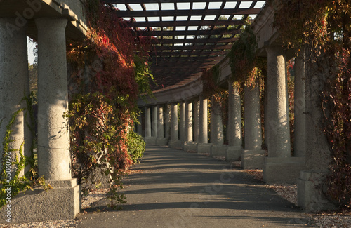 Board z aluminiowym obramowaniem Wrocławska pergola jesienią
