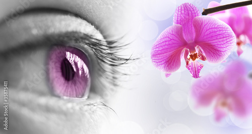 Tapeta ścienna Różowe oko i orchidea