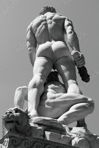 Fotoboard na płycie Hercules and cacus sculpture autorstwa baccio bandinelli
