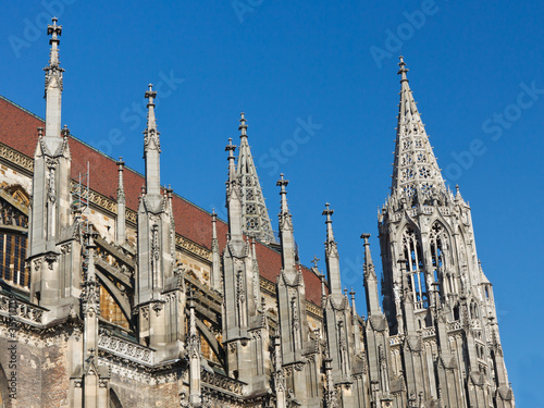 Tapeta ścienna Ulm minster (ulmer muenster), Niemcy