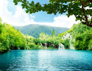 Canvas Print - lake in deep forest