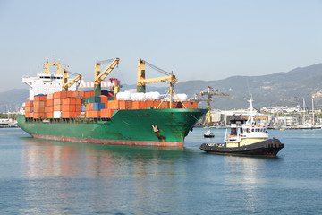 Wall Mural - tug and container ship