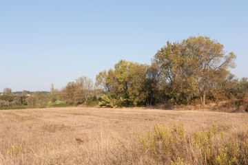 Autumn Fields