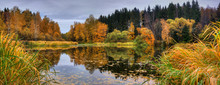 Panoramic Landscape With Forest Lake In Autumn