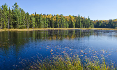  Fall Colors in Algonquin Park Ontario