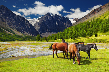 Wall Mural - Mountain landscape