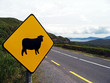 © ChiccoDodiFC - sign of attention crossing sheep in Ireland