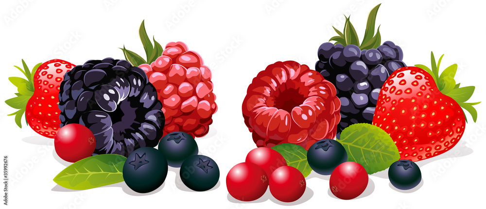 berries isolated - obrazy, fototapety, plakaty 