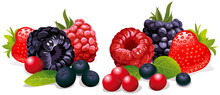 Berries Isolated