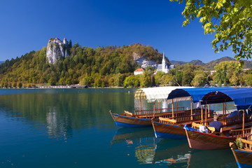 Wall Mural - Traditional wooden boats in Bled