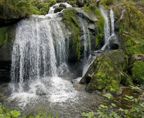 Sticker - idyllic Triberg Waterfalls