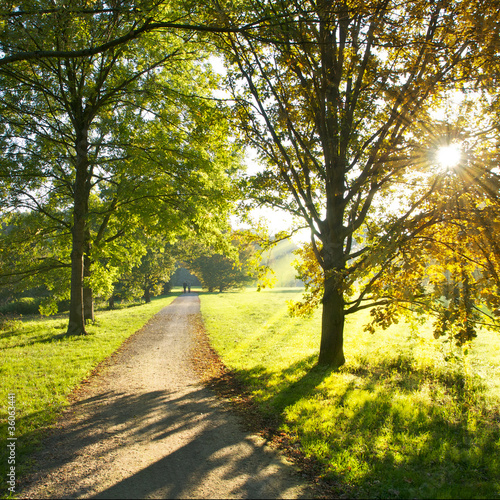 Fototapeta na wymiar Sonniger Herbsttag