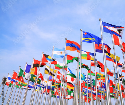 Cuadros en Lienzo The World Each Nation National flags