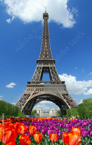 Tapeta ścienna Wieża Eiffla, Parigi