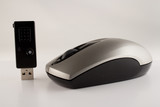 Fototapeta  - Wireless mouse and usb receiver