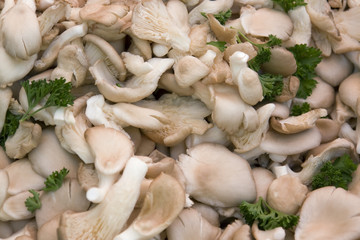 Wall Mural - background with mushrooms and parsley