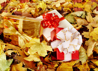 Wall Mural - Autumn still life with group gift box.
