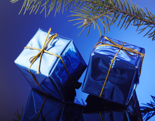 blue gift box and fir