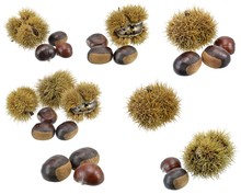 A Selection Of Chestnuts On A White Background