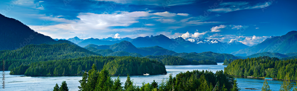 Panoramic view of Tofino, Vancouver Island, Canada - obrazy, fototapety, plakaty 
