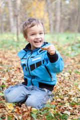 Wall Mural - Laughing boy sitting on fallen leaves, autumn park