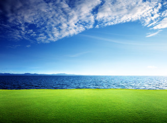 Wall Mural - green grass and caribbean sea