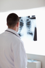 Wall Mural - Doctor using light to check x-ray