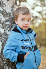 Wall Mural - Portrait of  boy in blue jacket around birch.