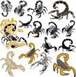 Scorpions vector collection