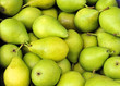 canvas print picture - Green pears