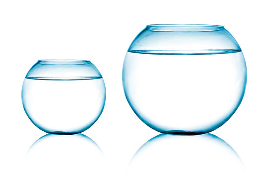 close up view of  two fish bowls on white background