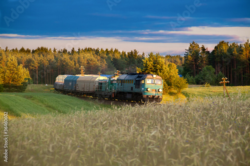 Naklejka dekoracyjna Freight diesel train