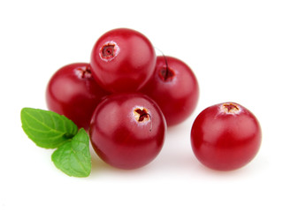 Sticker - Berry of cranberry with mint