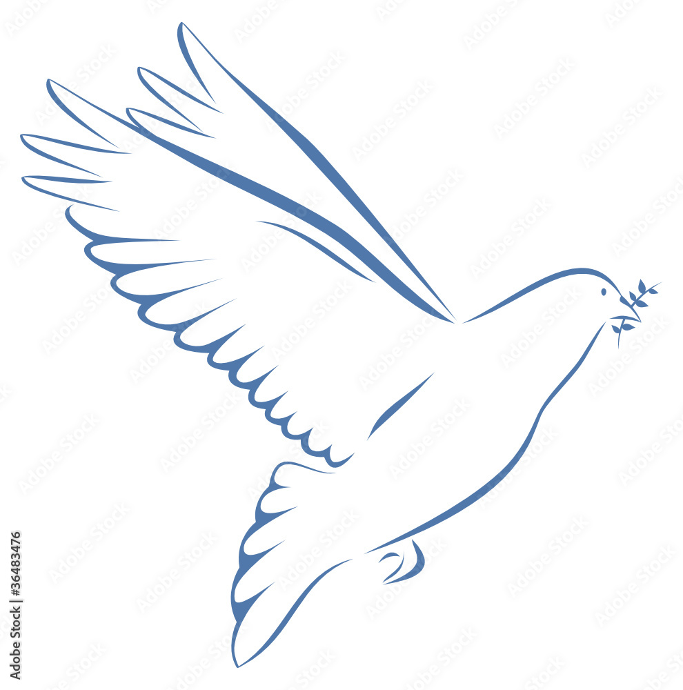 Taube Blau Mit Zweig Im Schnabel Auf Weißem Hintergrund