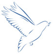 Taube blau mit Zweig im Schnabel auf weißem Hintergrund