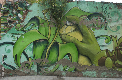 Board z aluminiowym obramowaniem Kwiat graffiti