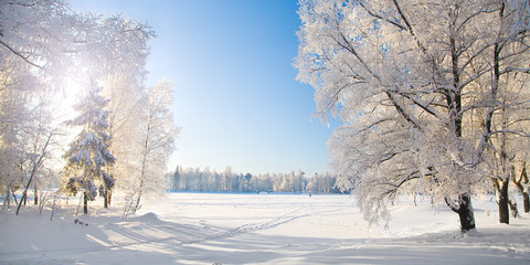 Aufkleber - Winter park. Panorama