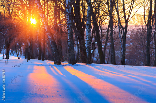 Plakat na papierze fotorealistycznym Zachód słońca w winter park