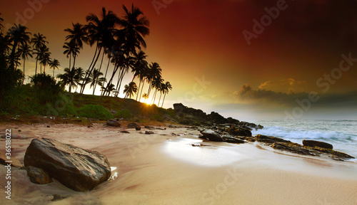 Fototapeta do kuchni Sunrise under the palms