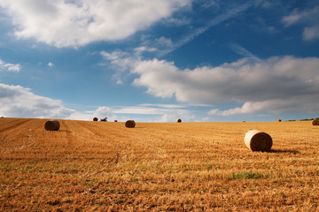 Straw Bales