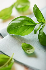 Fresh basil on blue napkin