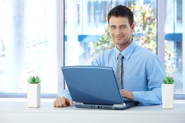 Wall Mural - Smiling businessman working on laptop