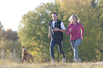 Wall Mural - Zwei Jogger mit Hund