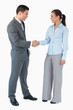 © WavebreakmediaMicro - Business partner shaking hands against a white background