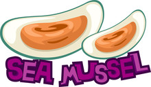 Sea Mussel
